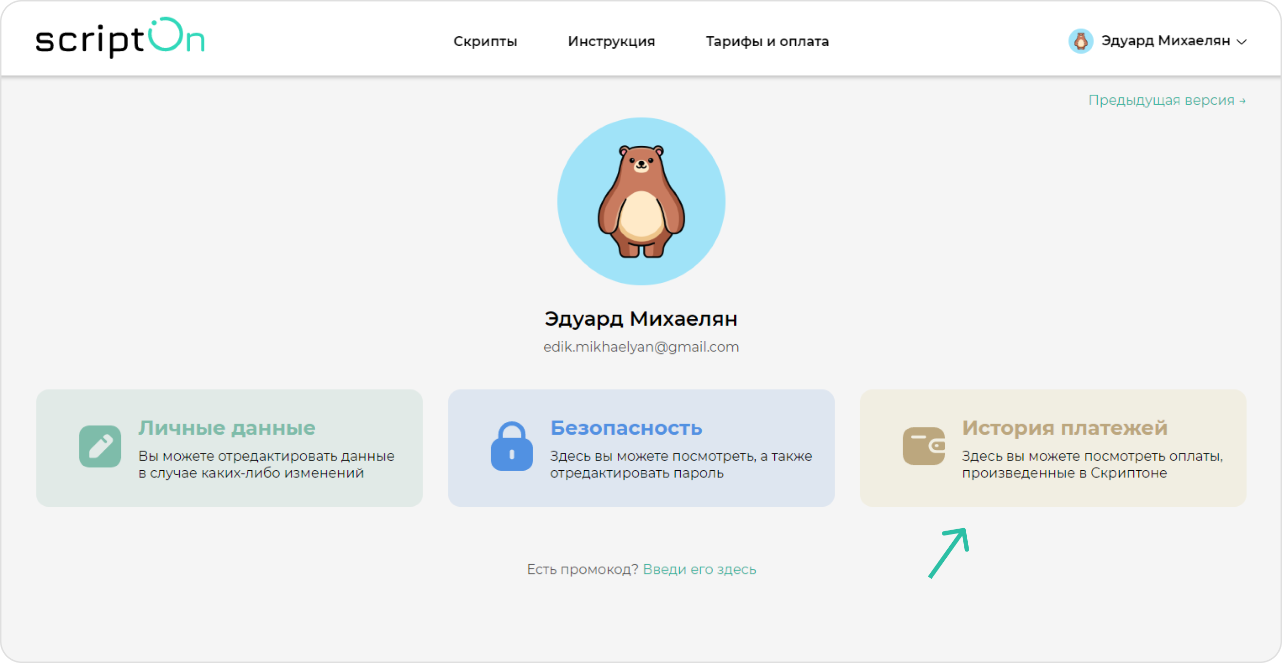screen=Скриншот кабинета пользователя. Показывается блок с историей платежей пользователя